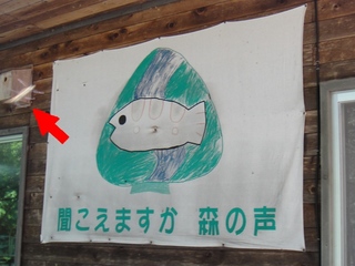 DSC08710x.jpg