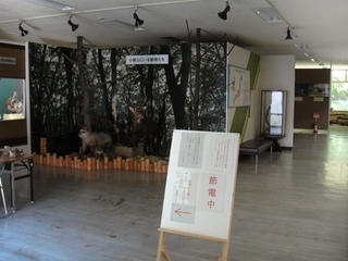 DSC08711x.jpg