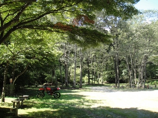 DSC08750x.jpg