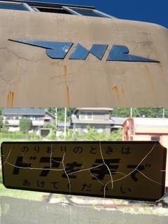 DSC08774x.jpg