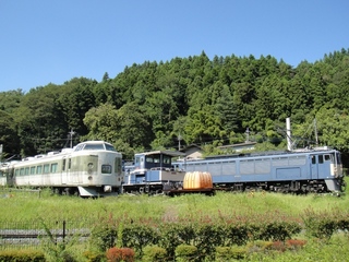 DSC08847x.jpg