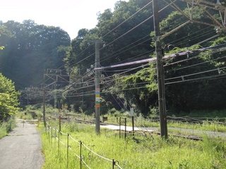 DSC08896x.jpg
