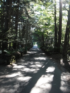 DSC08907x.jpg