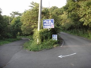 DSC08956x.jpg