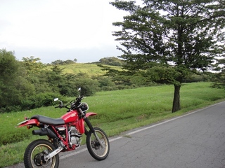 DSC08959x.jpg