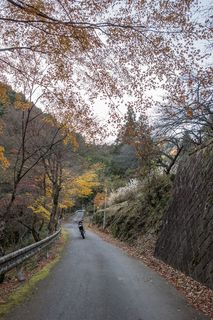 _DSC9258lr.jpg